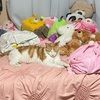 clothessss780